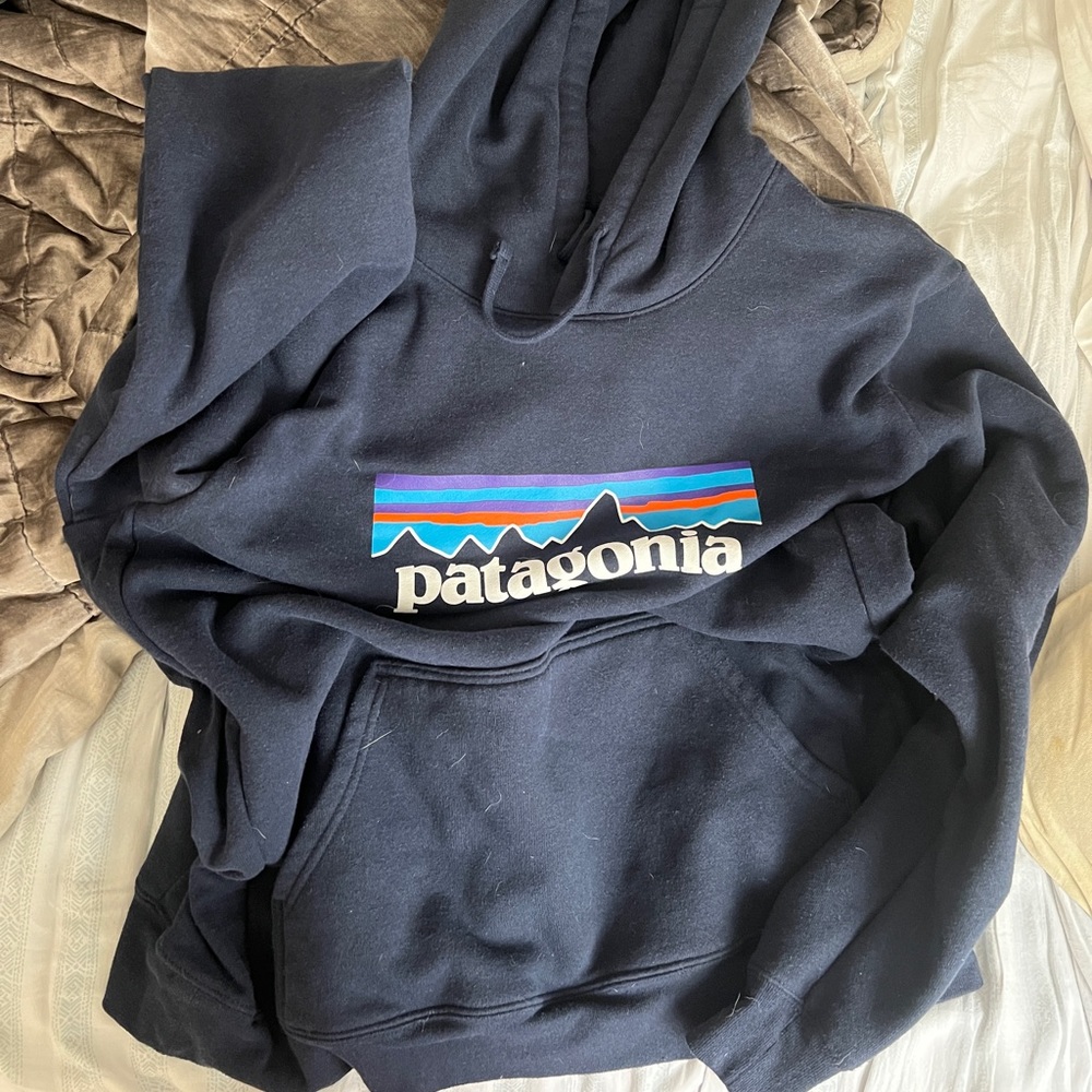 Patagonia Navy Hoodie